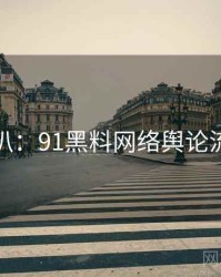 独家深扒：91黑料网络舆论流量密码
