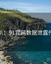 独家深扒：91官网数据泄露传播路径