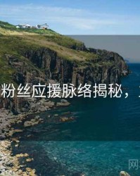 杏吧app粉丝应援脉络揭秘，立即观看