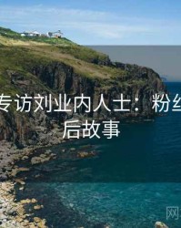 51爆料专访刘业内人士：粉丝大战幕后故事