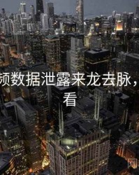 新91视频数据泄露来龙去脉，速来查看