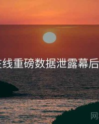 91在线重磅数据泄露幕后真相