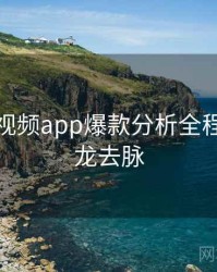 汤不热视频app爆款分析全程记录来龙去脉