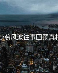 91网抄袭风波往事回顾真相还原