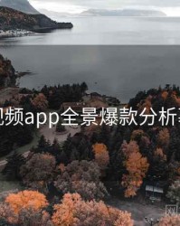 汤不热视频app全景爆款分析幕后真相