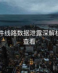 91大事件线路数据泄露深解析，速来查看