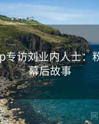 杏吧app专访刘业内人士：粉丝福利幕后故事