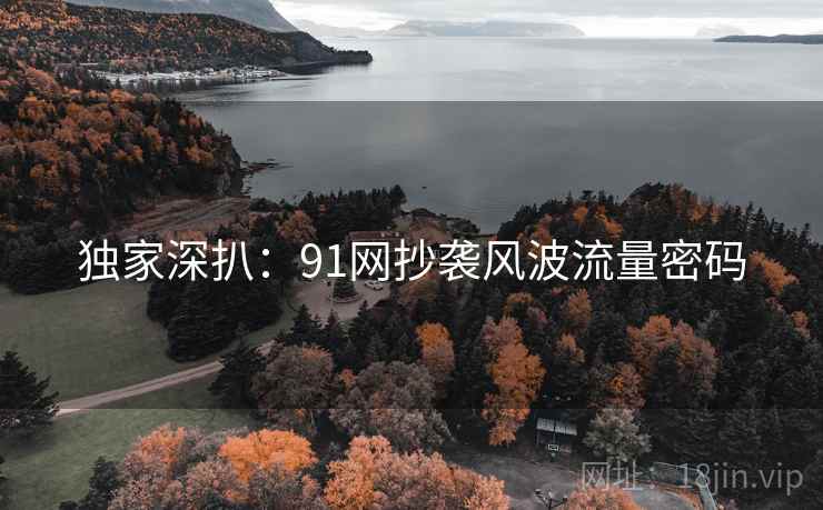 独家深扒:91网抄袭风波流量密码 独家深扒:91网抄袭风波流量密码